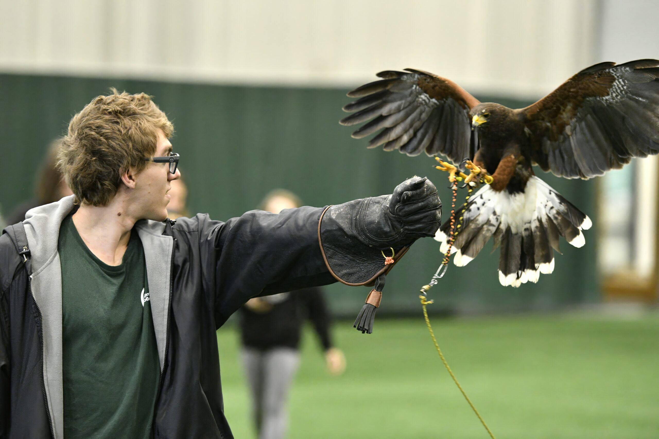 Petersfeild Raptor Raptors Visit Wilmington College History Class - Wilmington College ...